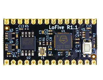 LOFIVE-R1 SIFIVE FE310-G002 RISC-DEV V