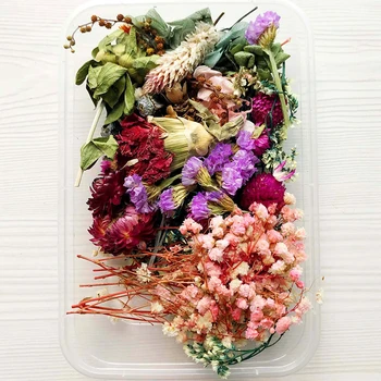 Sušené Kvety Package Zmiešané Večný Kvety a Zeleň pre KUTILOV, Sviečky, Aromaterapia Pohľadnice Epoxidové Plavidlá Dekor CANQ889